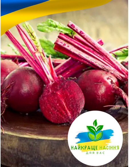 Буряк Округлий Темно-Червоний Польща
