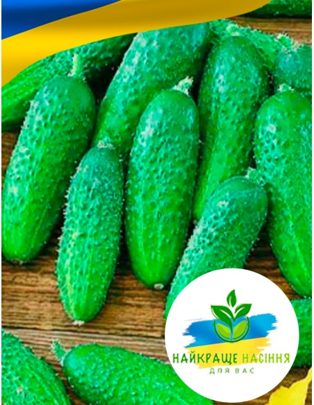 Огірок Суперхрустяшка смак F1 Польща