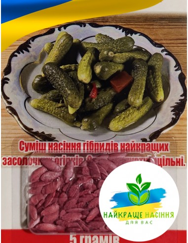 Огірок Засолка Польща