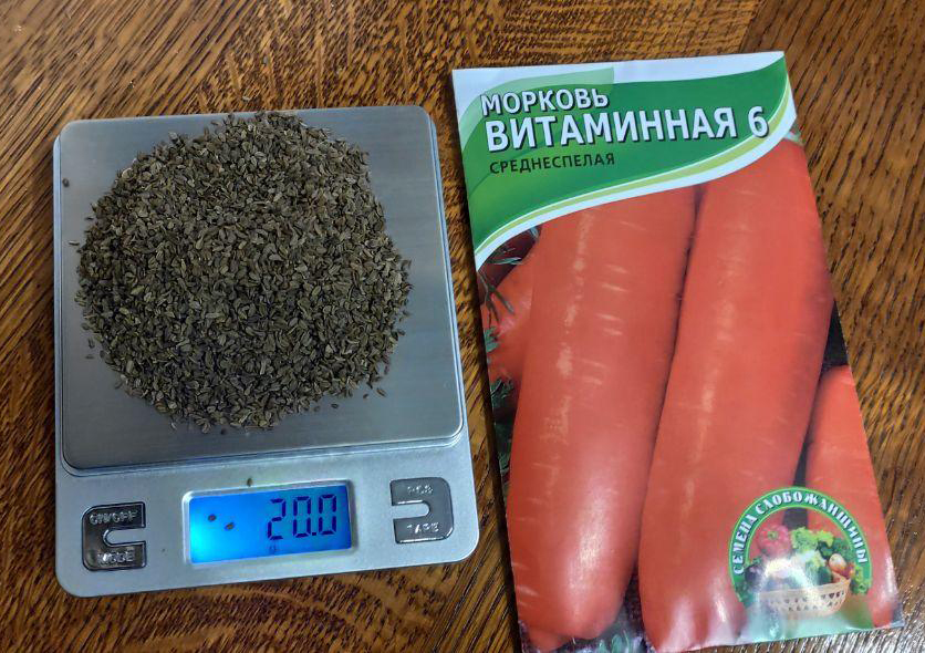 Количество семян в одной пачке морковки